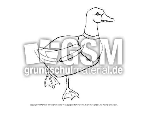 Ausmalbilder-Stockente 1.pdf